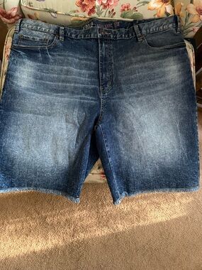 Men's Blue Denim Athletic Fit Shorts
